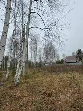 Участок в Свердловская область, Екатеринбург Юбилейный ДСК, 48 (8.0 ...