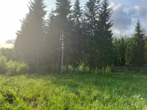 Участок в Лопухинское сельское поселение (10 м)