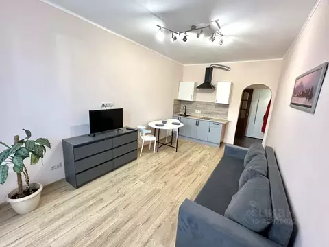 Студия Московская область, Ногинск Богородский городской округ, ул. ...