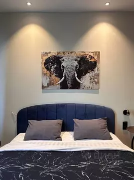 Студия Санкт-Петербург просп. Энергетиков, 8к2 (25.0 м)