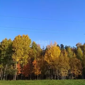 Участок в Калужская область, Износки с/пос, д. Мусино  (1100.0 сот.)