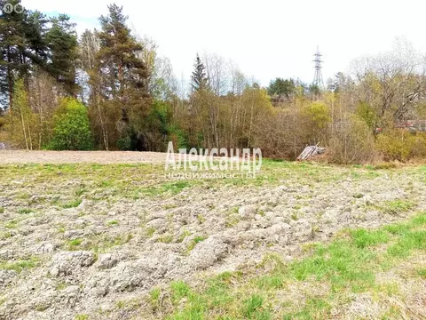 Участок в Приозерский район, городской посёлок Кузнечное (8.4 м)