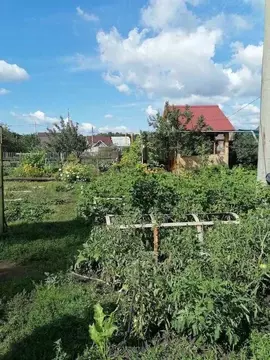 Участок в Самарская область, Самара Береза-1 СДТ,  (6.0 сот.)