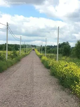 Участок в Гостилицкое сельское поселение, садоводческое некоммерческое ...