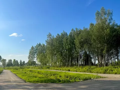 Участок в Московская область, Раменский муниципальный округ, Березки ...