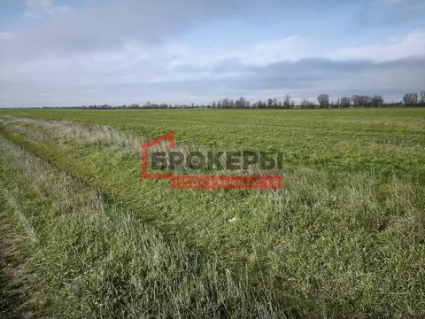 Участок в Крым, Сакский район, Ивановское с/пос, с. Жаворонки ул. ...