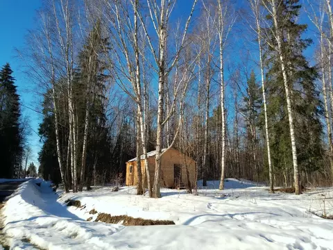 Участок в Санкт-Петербург Поселок Лисий НОС, просп. Большой, 45 (12.0 ...