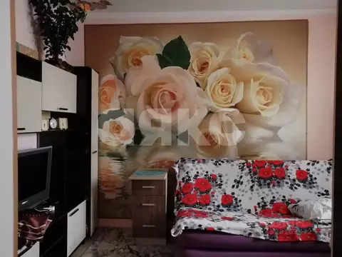 Студия Краснодарский край, Анапа пер. Северный, 1 (23.9 м)