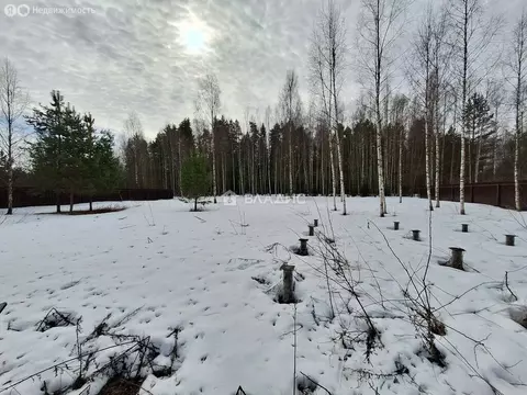 Участок в Ивановский муниципальный округ, садоводческое некоммерческое ...