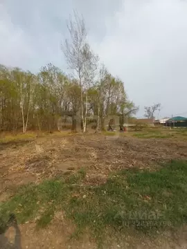 Участок в Амурская область, Благовещенск Лесник СТ, 9 (8.5 сот.)