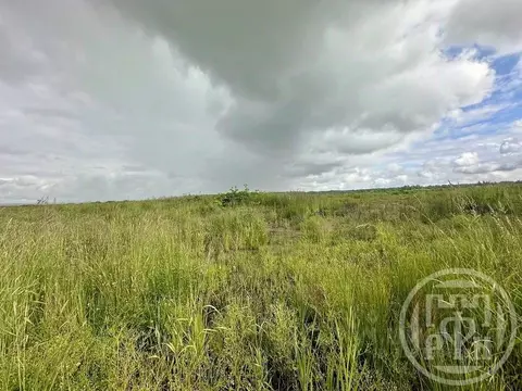 Участок в Ленинградская область, Всеволожский район, Заневское ...