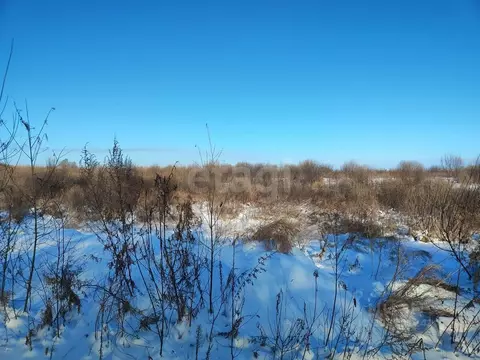 Участок в Амурская область, Благовещенск Левобережье тер.,  (15.0 ...
