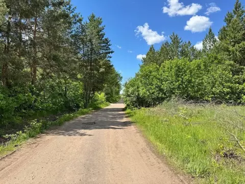 Участок в Воронежская область, Новоусманский район, Хреновское с/пос, ...