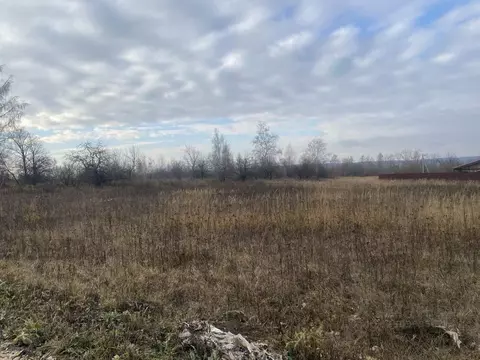 Участок в Московская область, Серебряные Пруды муниципальный округ, с. ...