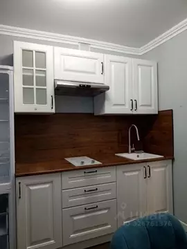 1-к кв. Алтайский край, Рубцовск ул. Калинина, 17 (30.0 м)