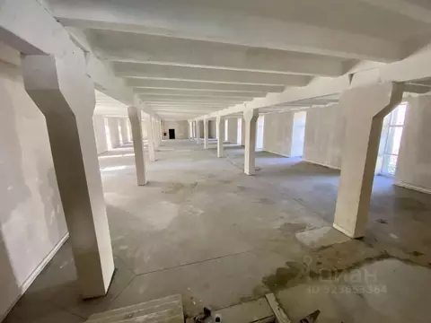 Помещение свободного назначения в Санкт-Петербург просп. Культуры, ...