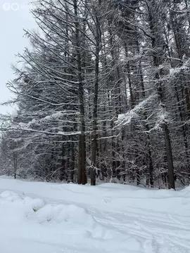 1-комнатная квартира: посёлок Автополигон, 7 (28.8 м)