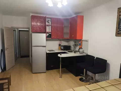 Студия Санкт-Петербург просп. Ветеранов, 169к3 (24.0 м)