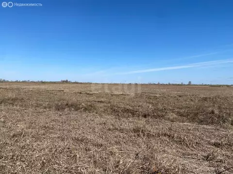 Участок в Тюмень, ТОО Ембаевское (578 м)