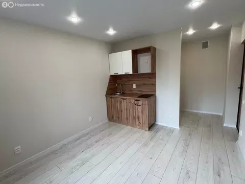 Квартира-студия: Великий Новгород, Привокзальный район, улица Саши ...