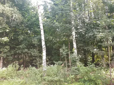 Участок в Москва пос. ДСК Мичуринец, ул. Энгельса, 48А (40.0 сот.)