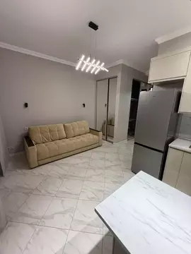 Студия Москва ул. Адмирала Макарова, 6Бк2 (24.4 м)