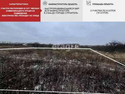 Участок в Белгородская область, Строитель Яковлевский городской округ, ...