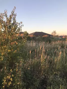 Участок в Тюменская область, Тюмень Лето-Парк ТСН, 527 (778.0 сот.)