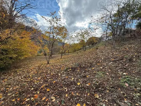 Участок в Краснодарский край, Сочи городской округ, с. Сергей-Поле ...