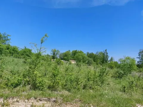 Участок в Хабаровский край, Хабаровский район, с. Сосновка  (12.6 ...