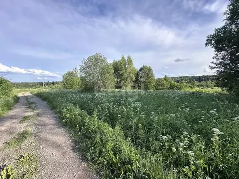 Участок в Московская область, Клин городской округ, д. Марфино 1 (16.5 ...