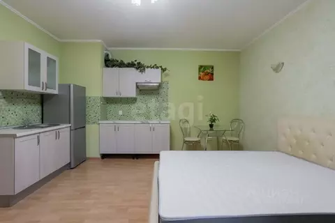 Студия Ленинградская область, Кудрово г. Всеволожский район, Заневское ...