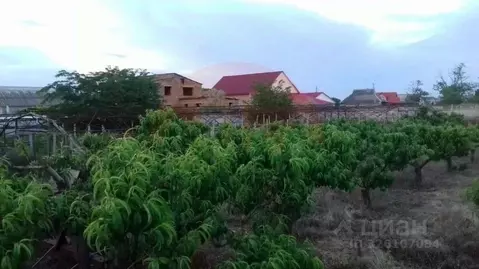 Участок в Крым, Сакский район, Лесновское с/пос, с. Владимировка ул. ...