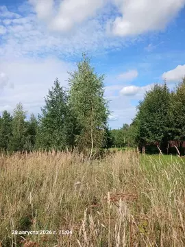 Участок в Московская область, Шаховская муниципальный округ, с. ...