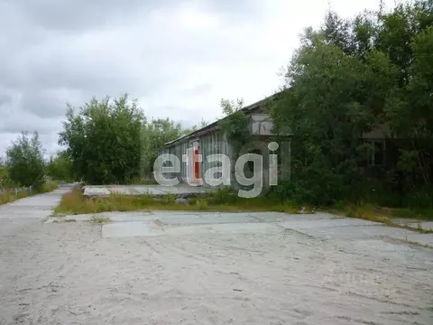 Торговая площадь в Ямало-Ненецкий АО, Новый Уренгой Лимбяяха мкр, ...