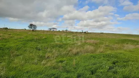 Участок в Крым, Ленинский район, Батальненское с/пос, Нептун СНТ  ...