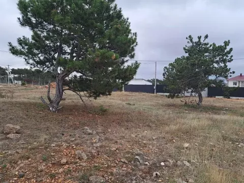 Участок в Севастополь Янтарь садоводческое товарищество,  (8.1 сот.)