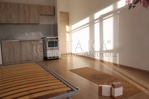 Студия Санкт-Петербург ул. Адмирала Черокова, 20 (24.0 м)