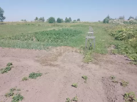 Участок в Псковская область, Псковский район, Завеличенская волость, ...