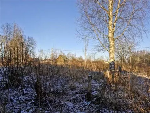 Участок в Ленинградская область, Гатчинский муниципальный округ, д. ...