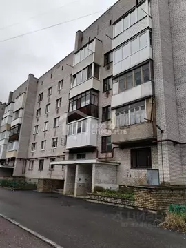 1-к кв. Санкт-Петербург, Санкт-Петербург, Петергоф Суворовская ул., ...