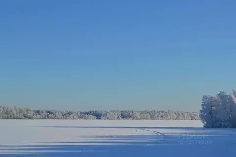 Участок в Ленинградская область, Выборгский район, Полянское с/пос, ...
