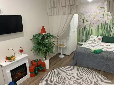 Студия Калужская область, Калуга ул. Максима Горького, 61 (28.1 м)