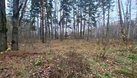 Участок в Московская область, Ступино городской округ, д. Соколова ...