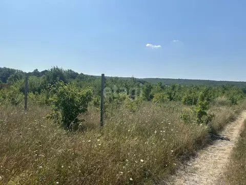 Участок в Краснодарский край, Новороссийск городской округ, ...