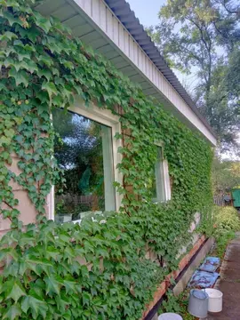 Дом в Приморский край, Партизанск Партизанская ул. (54 м)