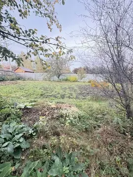 Участок в Челябинская область, Сосновский муниципальный округ, Урал ...