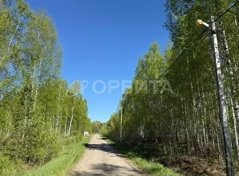 Участок в Тюменская область, Нижнетавдинский муниципальный округ, ...