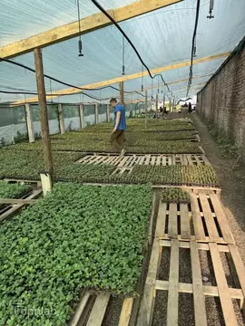 Помещение свободного назначения в Краснодарский край, Краснодар ул. ...