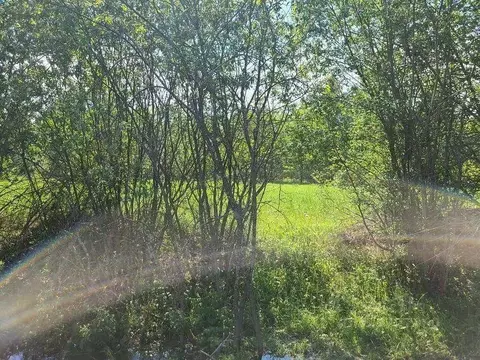 Участок в Ленинградская область, Лужский район, пос. Скреблово  (9.15 ...